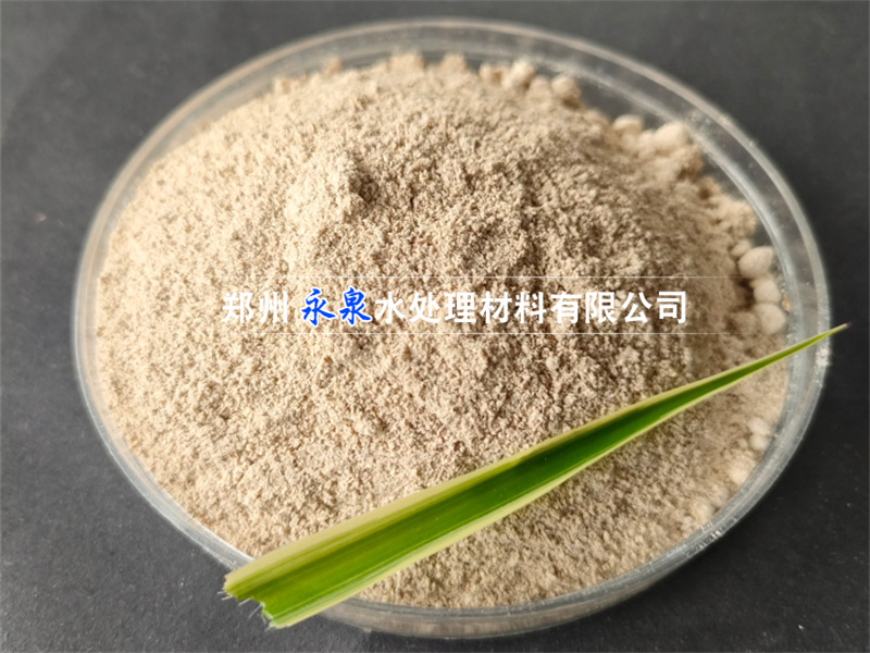 厭氧菌